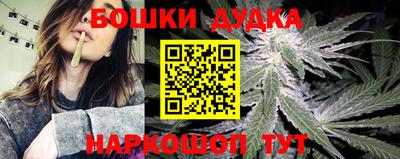 хмурый Дубна