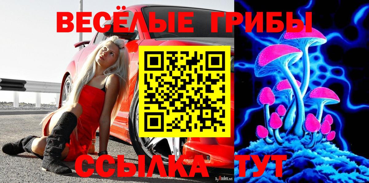 Людиново  где купить наркоту  Галлюциногенные грибы Psilocybine cubensis  Вход с VPN  Псилоцибиновые грибы Magic Shrooms 